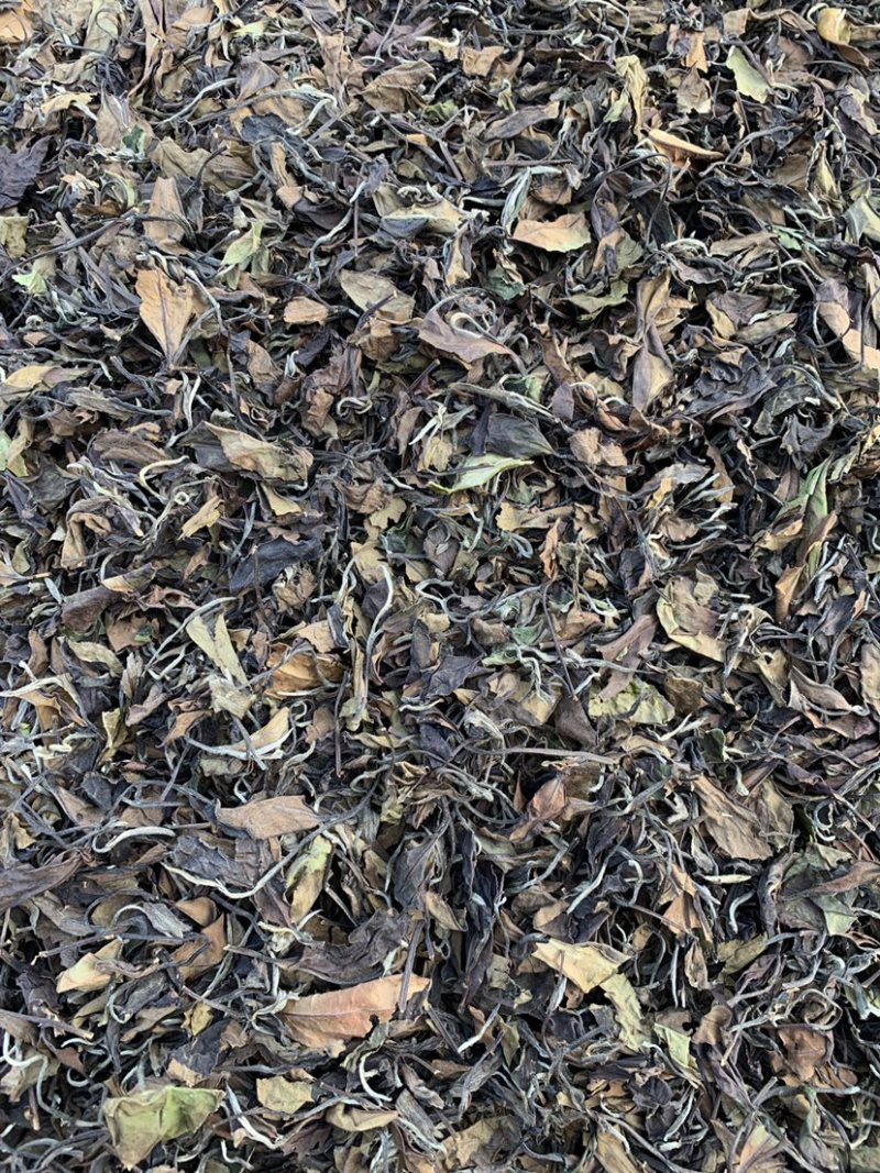 大家好，我这边是生产福鼎白茶的厂家有需要福鼎白茶的联系我