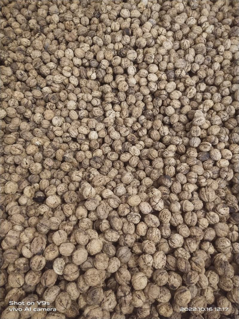 无量景福薄皮核桃
