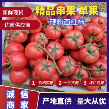 江苏精品硬粉西红柿，大量供应中，产地直供一手货源。