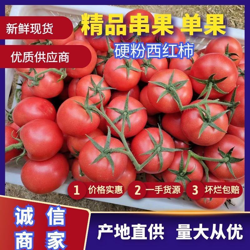 江苏精品硬粉西红柿，大量供应中，产地直供一手货源。