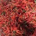 精品小米椒，大量上市，市场，商超，电商平台好货
