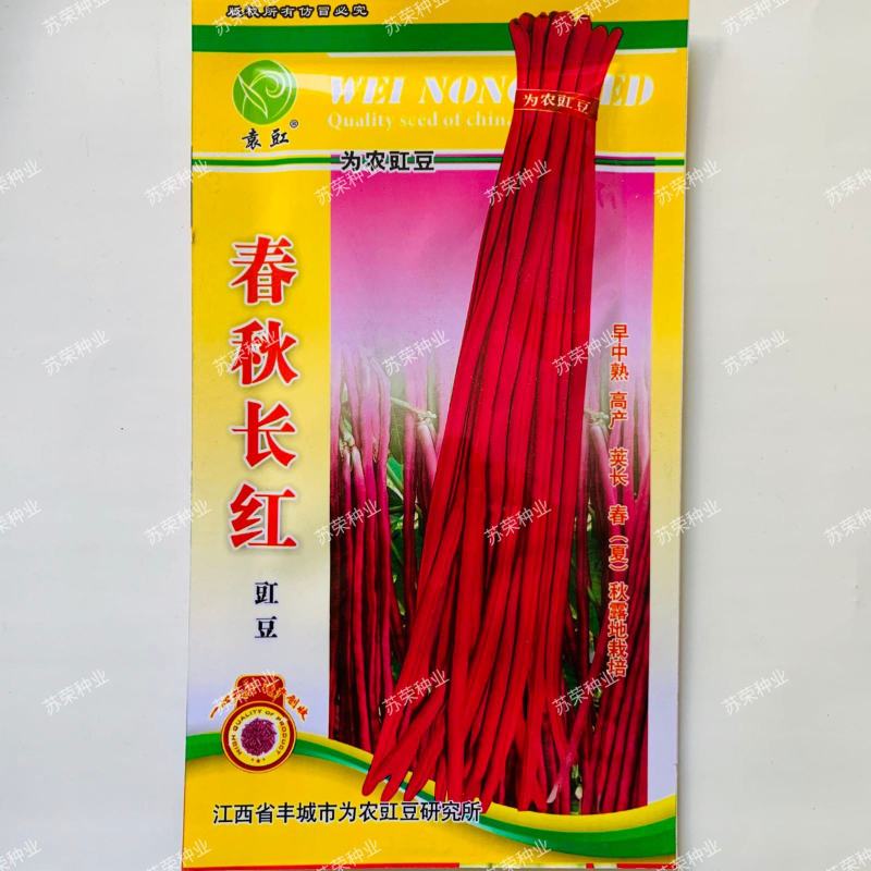 袁豇为农豇豆春秋长红长豆角种子长豇豆种子紫豇豆