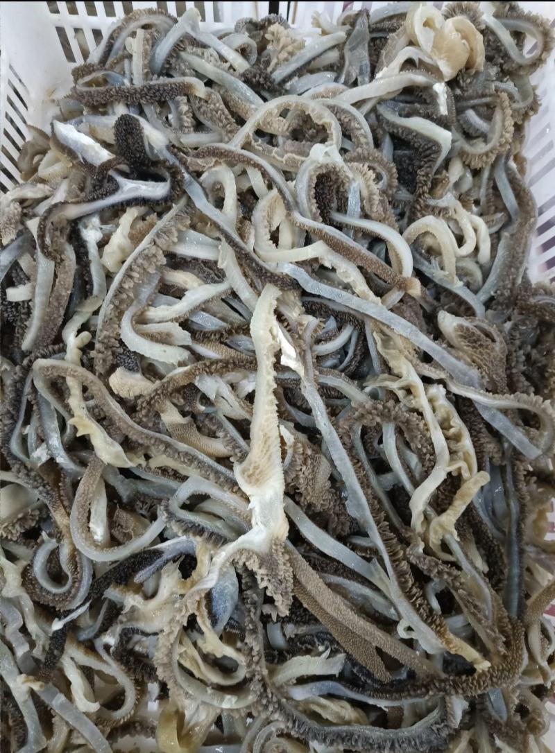 羊肚丝长期大量销售可以定做包装规格一手货源