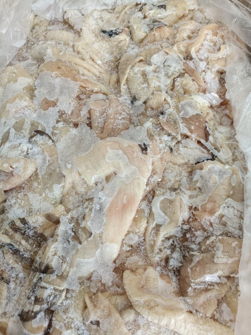 毛肚鲜底板（解冻率高，干净无油，长期现货大量供应