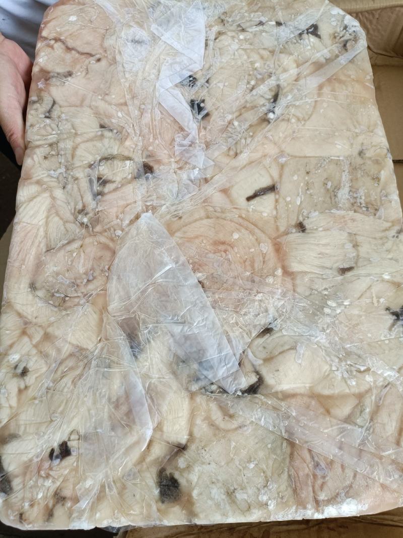 毛肚鲜底板（解冻率高，干净无油，长期现货大量供应