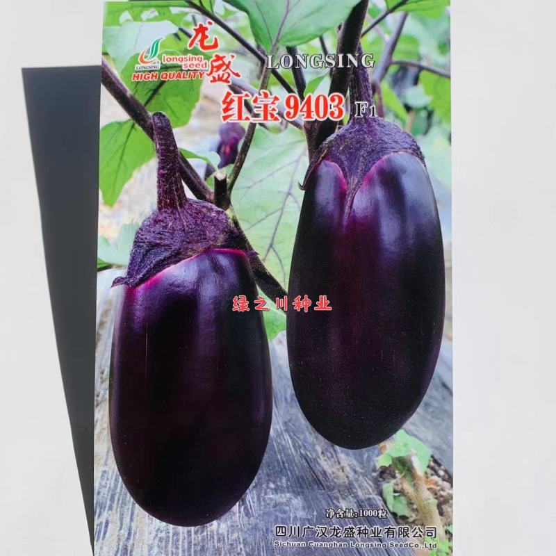 红宝9403紫红绿肉灯泡茄种子早熟紫红茄种籽春秋两季基地