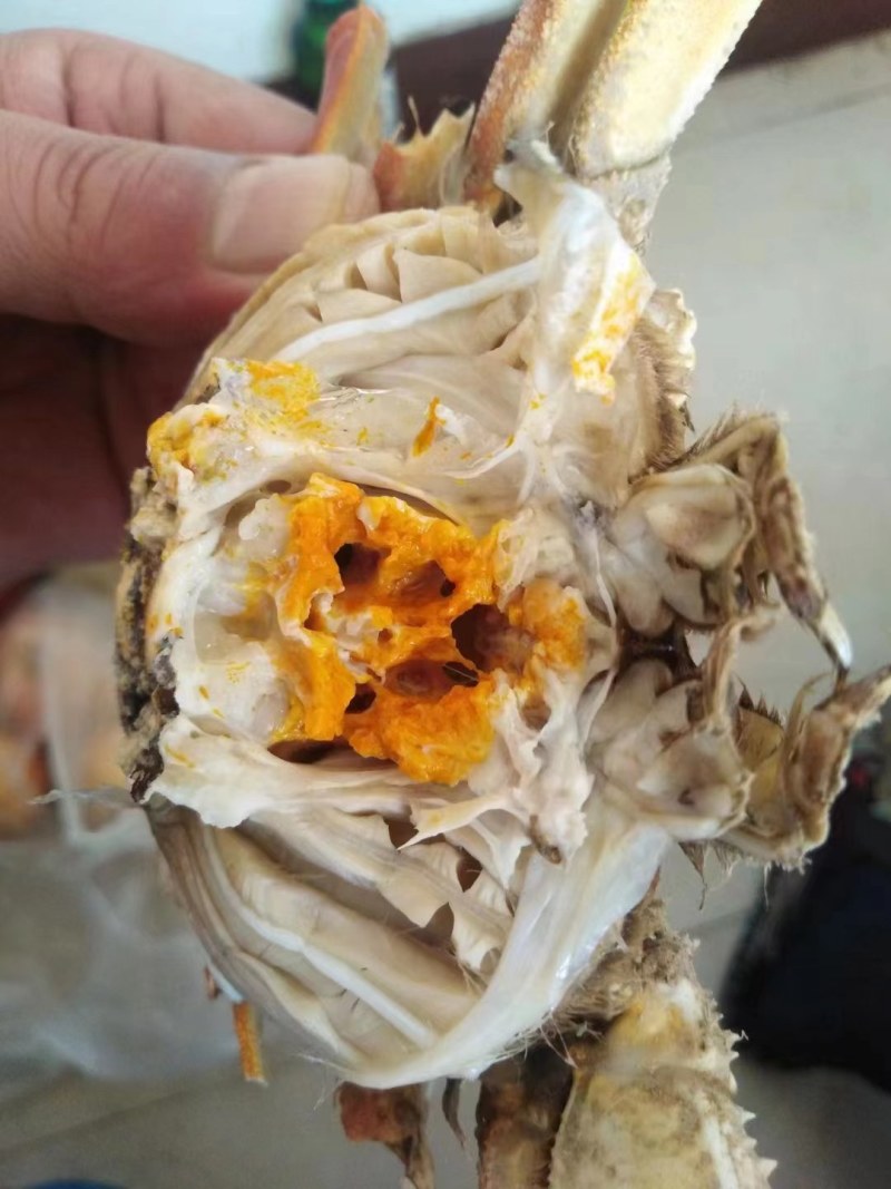 大闸蟹，产地货源，品质保证，货源充足稳定（下单请先咨询）