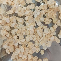 西洋参花旗参各种规格批发出售
