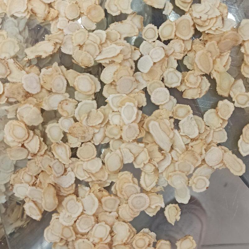 西洋参花旗参各种规格批发出售