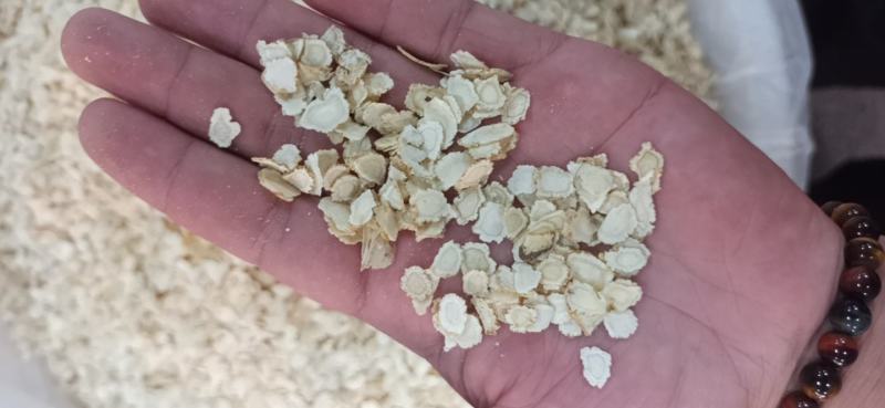 西洋参花旗参各种规格批发出售
