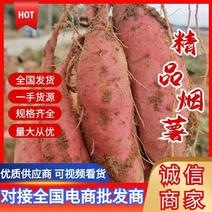 山东沂蒙山优质红薯，烟薯，量大，精品通货，欢迎考察