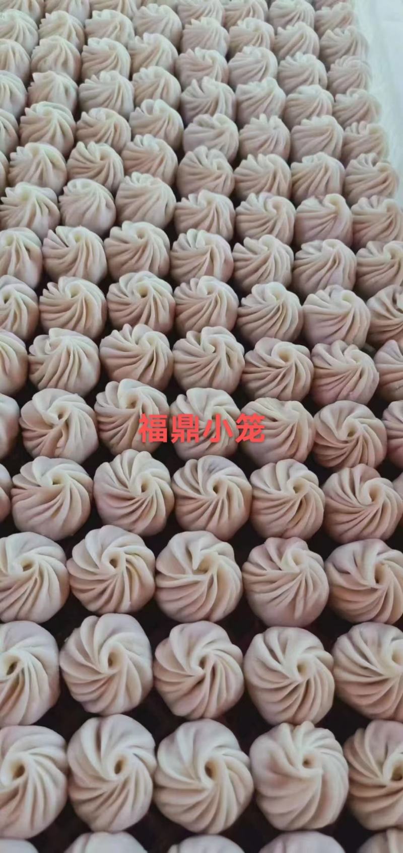 福建省福鼎珍珠小笼包