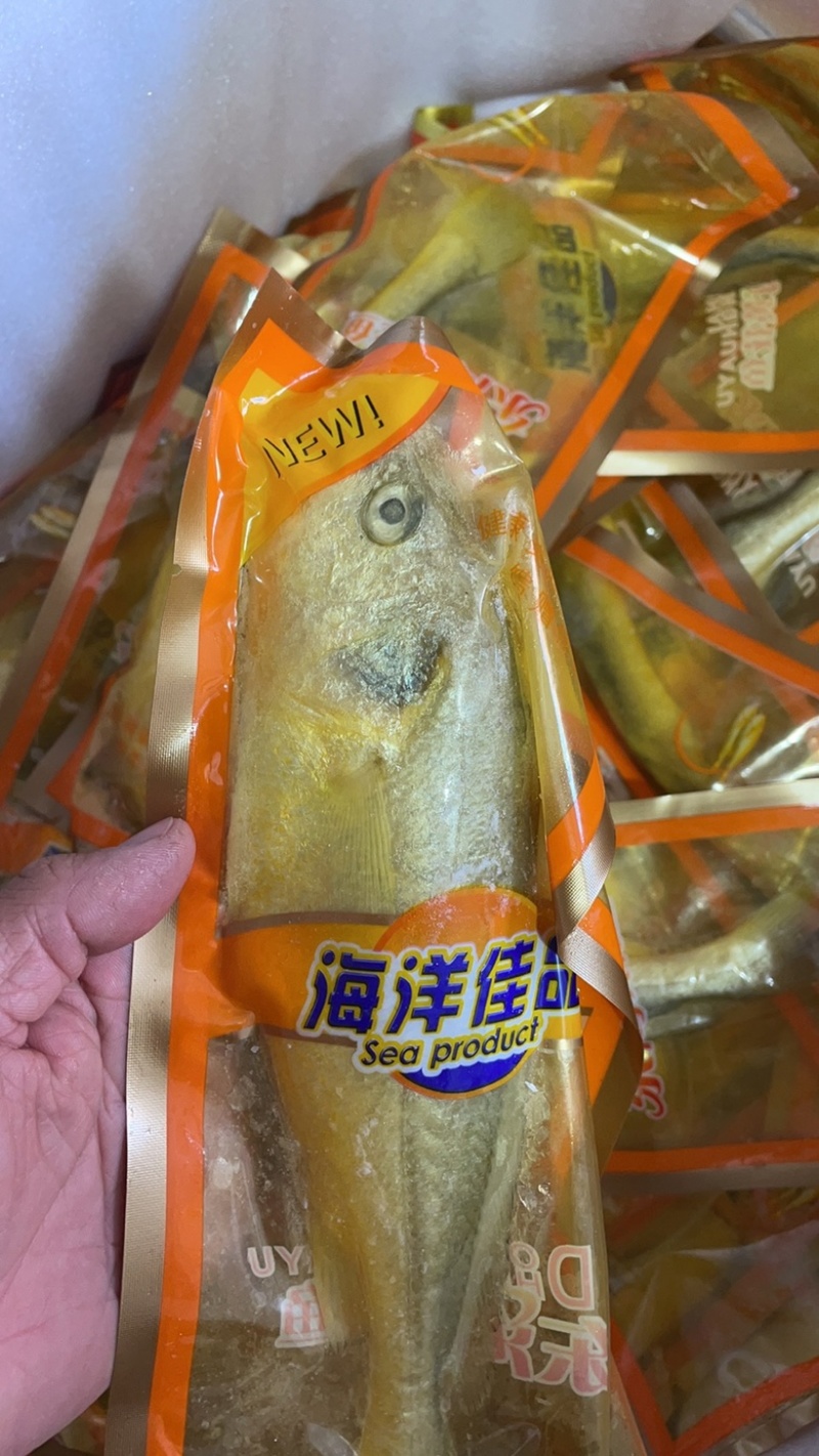 黄鱼新鲜冷冻黄鱼大黄鱼小黄鱼黄花鱼江苏海鲜水产批发