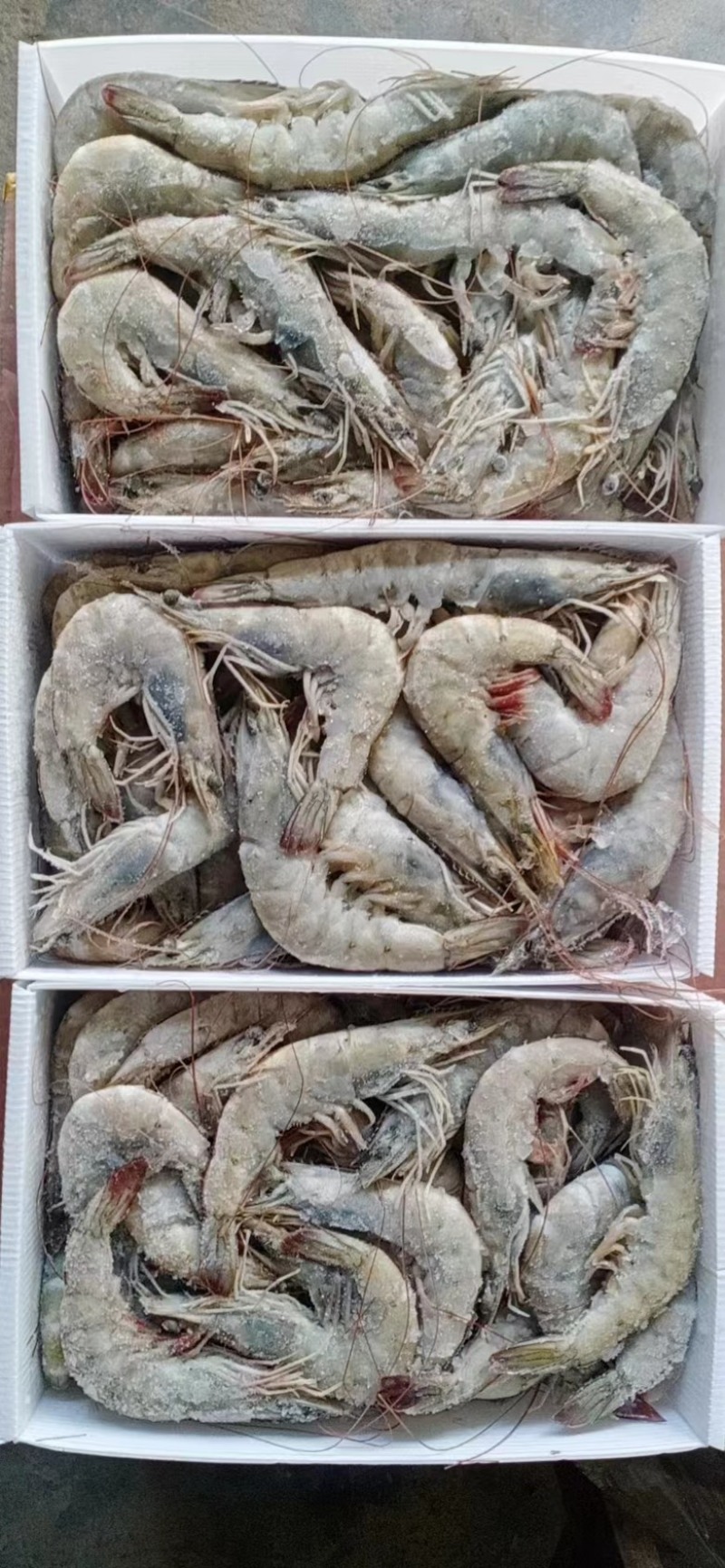 南美白对虾桑塔盐冻大虾各种规价格对虾国产进口