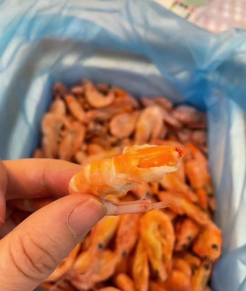 北极虾北极甜虾各种规格价格头籽腹籽加工定制换包装