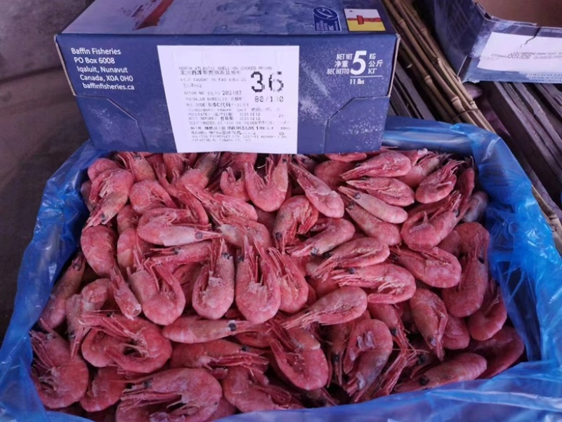 北极虾北极甜虾各种规格价格头籽腹籽加工定制换包装