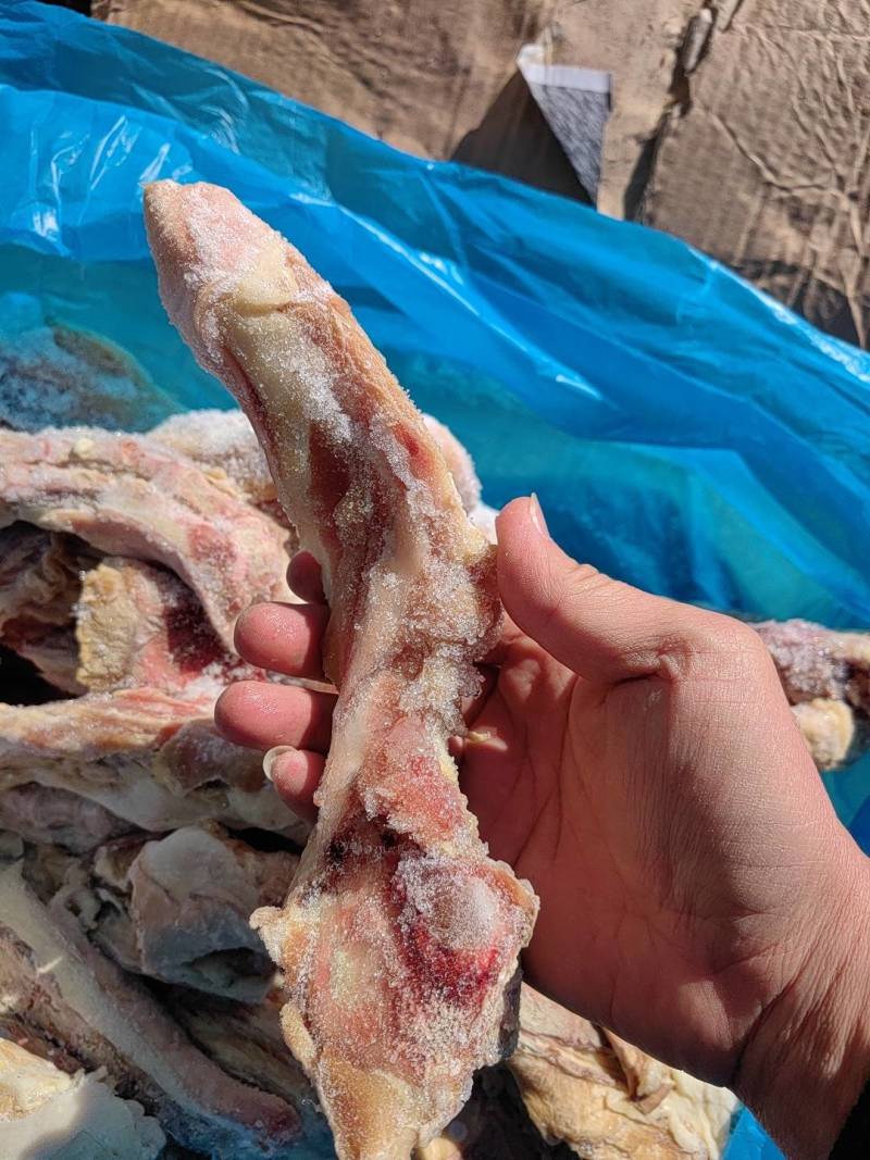 猪骨头，喂狗等，带肉骨头，各种骨头