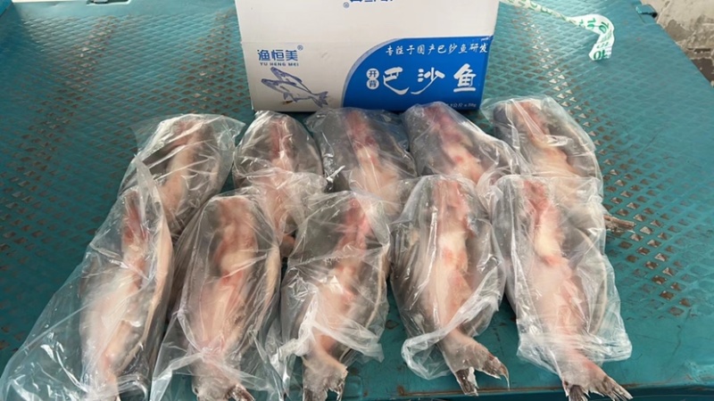 渔恒美开背鱼开背巴沙鱼巴沙鱼柳国产开背鱼15斤