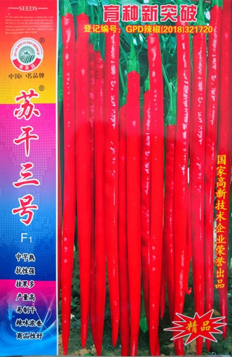 苏润苏干三号辣椒种子1000粒