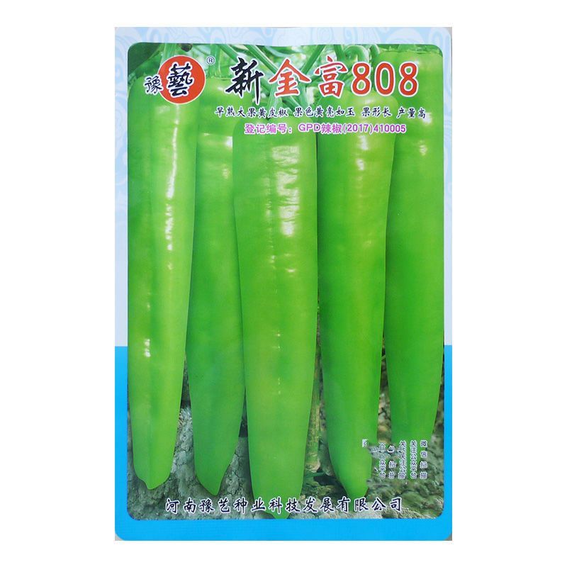 早熟黄绿皮大尖椒种子新金富8号黄皮羊角椒辣椒种籽辣味浓