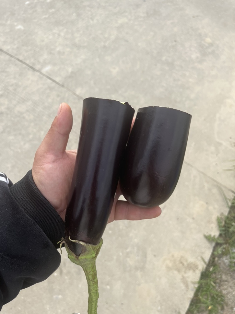 【精品】基地直供，价格稳定，货源充足，颜色黑亮