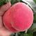 桃树苗新品种特大离核五月红巨王桃南北方种植包成活