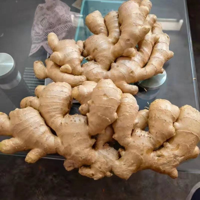 山东生姜产地大量鲜姜上市了，代存，全国发货，货源充足