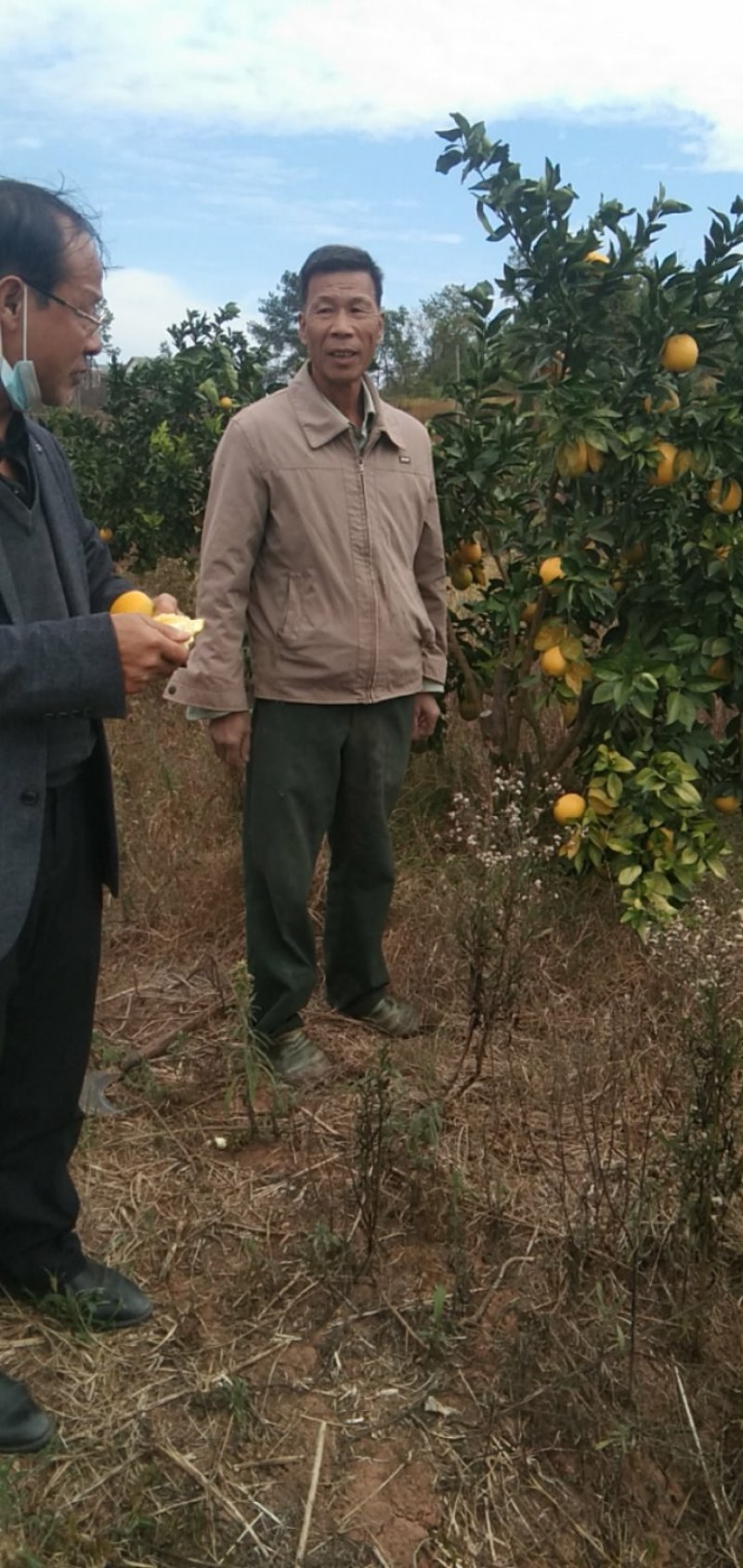 赣南脐橙稀土之乡富硒脐橙自产直供接受预订，提供仓储