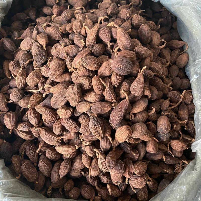 草果干货调料欢迎选购量大从优