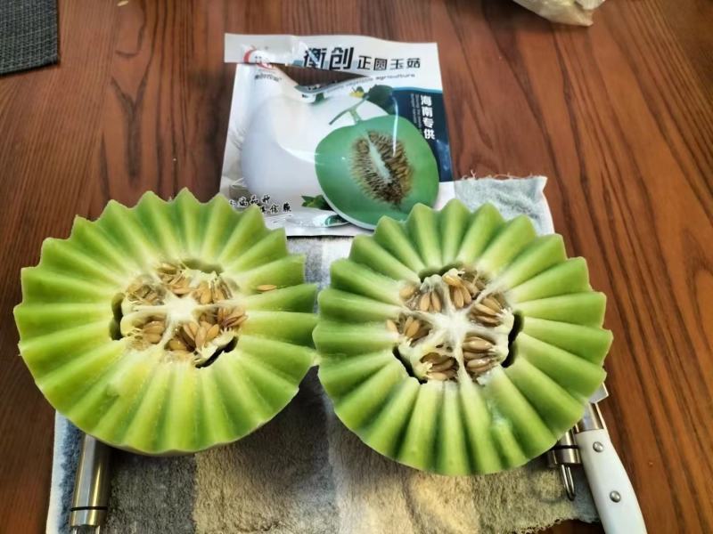 碧如玉2号玉菇种子口感好含糖量18度大果果肉翠绿