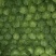 菏泽蔬菜基地万亩甘蓝上市现拔现发蔬菜新鲜欢迎联系