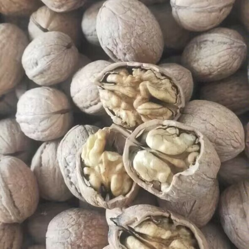 薄皮纸皮干核桃，产地发货，规格品种齐全，货量大，白仁为主