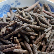 荜拨干货调料荜拨欢迎选购量大从优