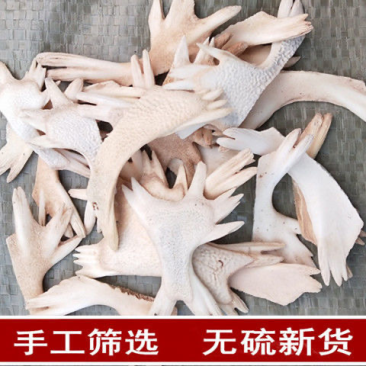 中药材炙鳖下甲醋炒鳖甲下甲鱼壳醋制鳖甲