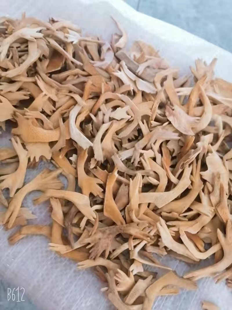 中药材炙鳖下甲醋炒鳖甲下甲鱼壳醋制鳖甲