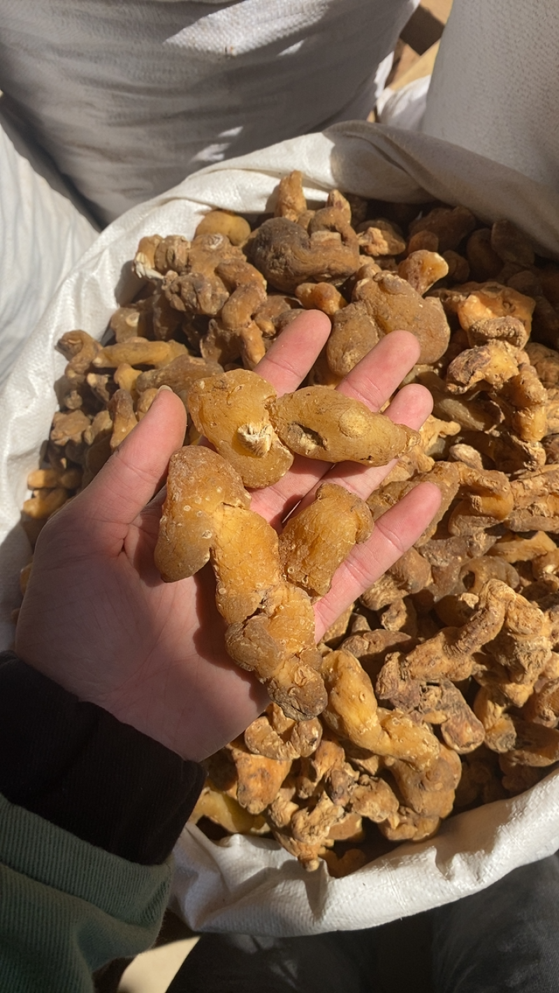 贵州野生黄精，个大货干。各规格货源充足。