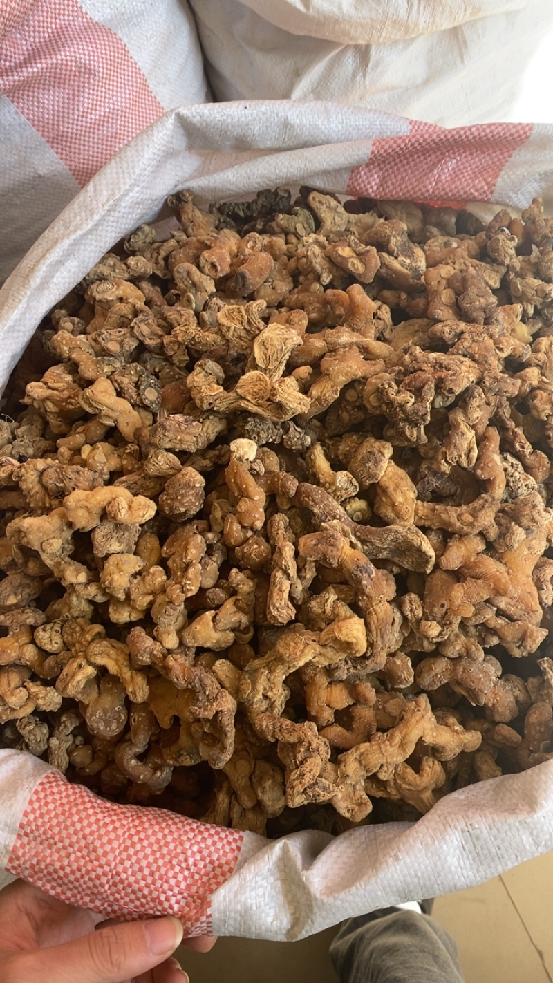 贵州野生黄精，个大货干。各规格货源充足。