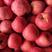 山东红富士苹果优质产地批发75以上0.5货源稳定
