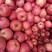 山东红富士苹果优质产地批发75以上0.5货源稳定