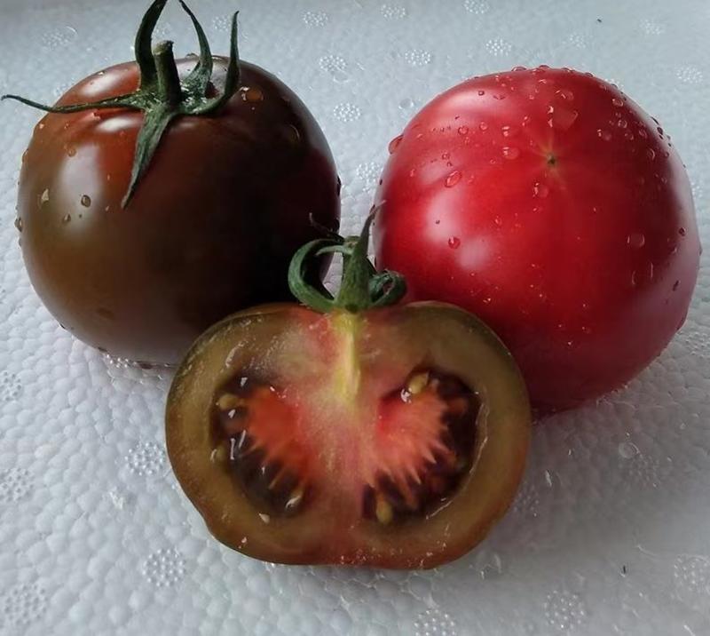 包邮，【采摘园推荐】黑肩草莓番茄苗——黑草莓。可试种