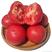 金红低架王F1番茄种子自封顶果实大而圆正亩产1万斤以上