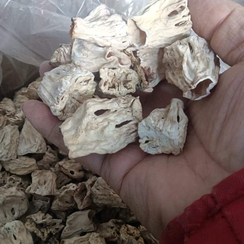大量批发大块干净羊肚菌脚柄