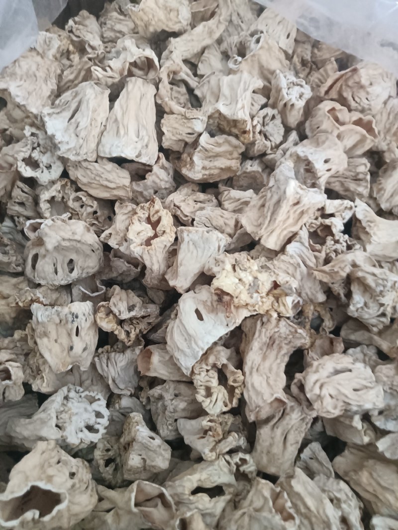 大量批发大块干净羊肚菌脚柄