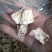 大量批发大块干净羊肚菌脚柄