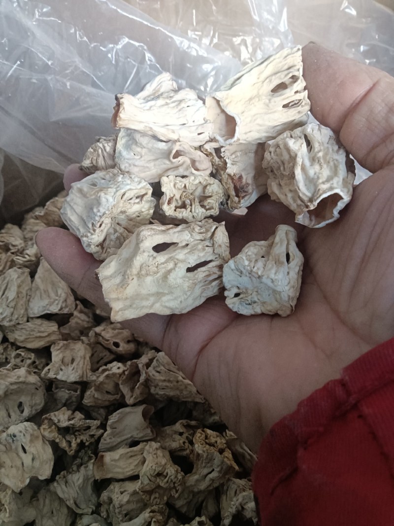 大量批发大块干净羊肚菌脚柄