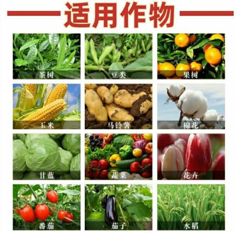 33%春雷喹啉铜果树蔬菜番茄青枯柑橘溃疡病角斑病杀菌剂