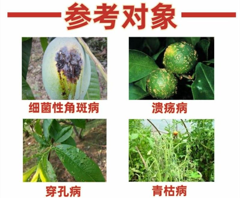 33%春雷喹啉铜果树蔬菜番茄青枯柑橘溃疡病角斑病杀菌剂