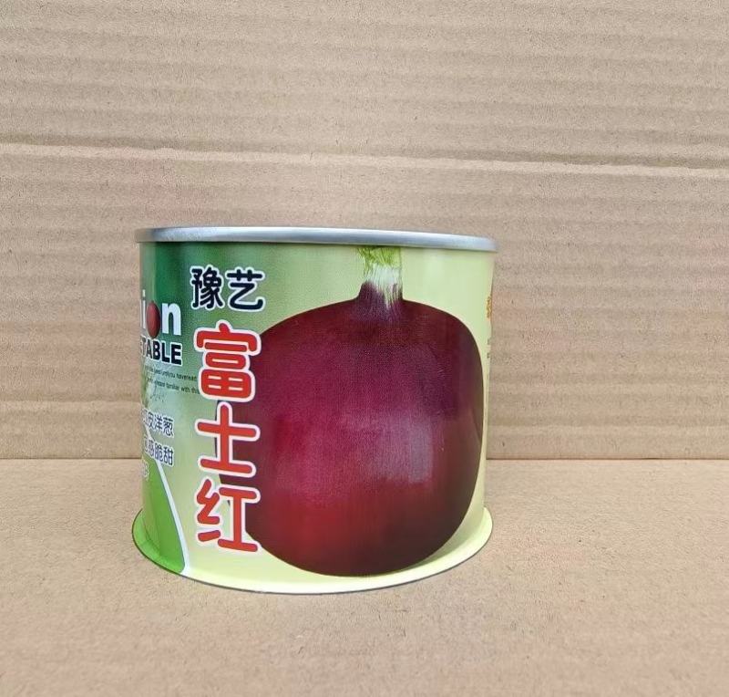 豫艺富士红洋葱种子圆球形紫红色球350克口感好产量高