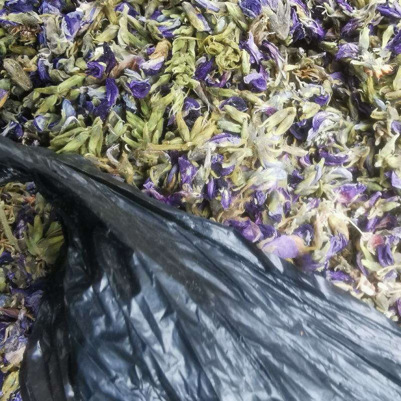 葛根花中药材葛藤花葛花茶干净精选解酒茶醒酒汤