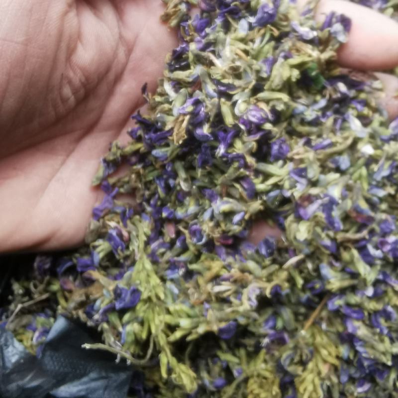 葛根花中药材葛藤花葛花茶干净精选解酒茶醒酒汤
